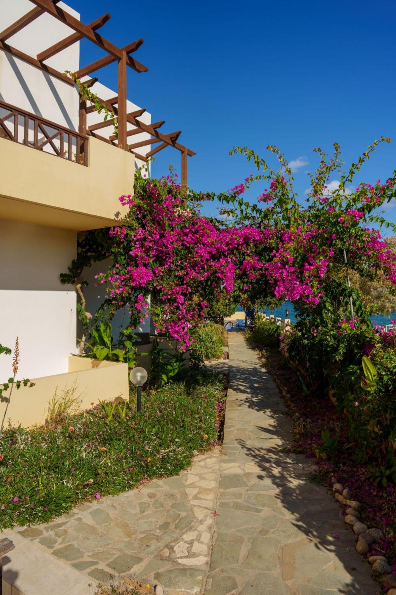 Dedalos Beach Hotel Sfáka Exteriör bild