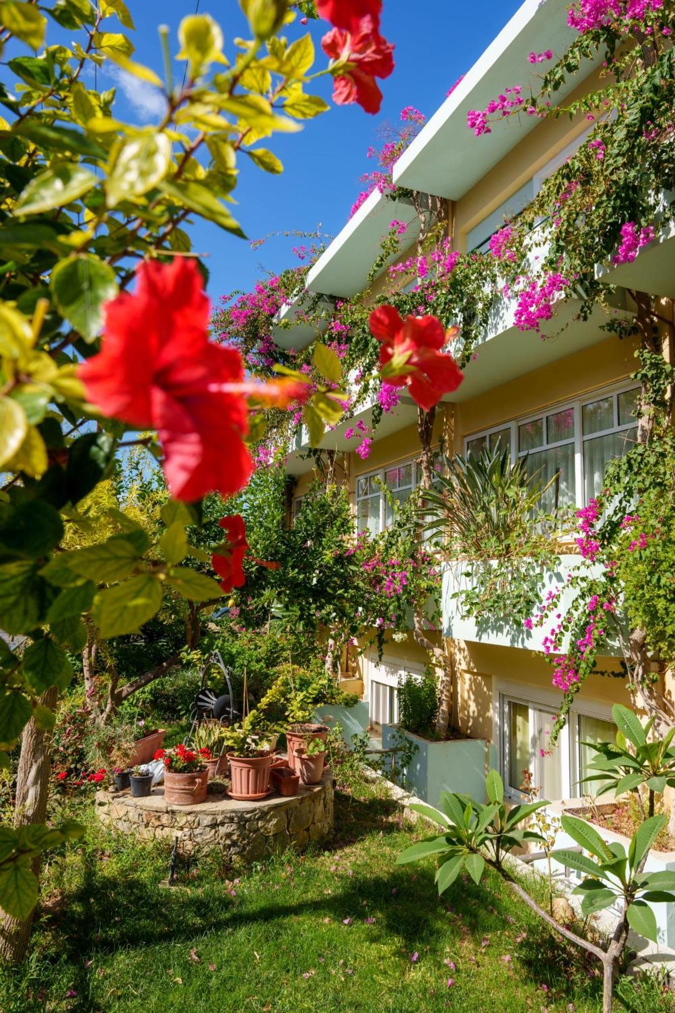 Dedalos Beach Hotel Sfáka Exteriör bild